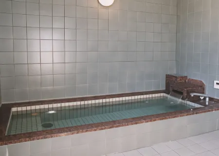 Echigoyuzawa Onsen Hotel Aster Отели в г. уезд Минамиуонума