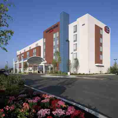 芝加哥沃基根/古尼萬豪SpringHill飯店 Hotel Exterior