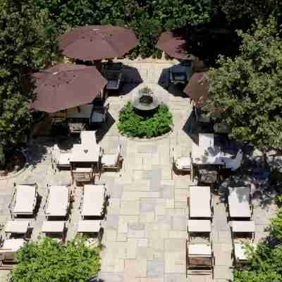 Cocoons Luxury Suites & Villas Others