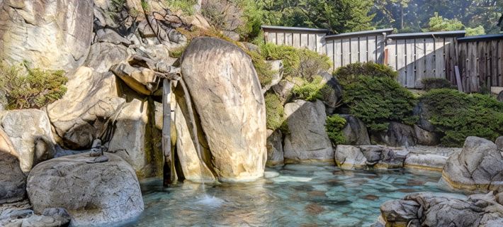Chausuyama Onsen Mori No Yado Yuuseikan Hotels in Shimoina District