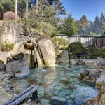 Chausuyama Onsen Mori No Yado Yuuseikan - Hot Springs