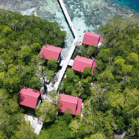 Cozzy Raja Ampat Blue Sea