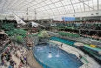 Best Western Cedar Park Inn - Pools