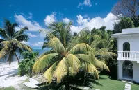 Le Tropique Villa - Mountain view