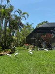 Heated Pool & AC Game Room • Mini Golf • 3Br • 12 Min to Ami • Renovated - 4つ星
