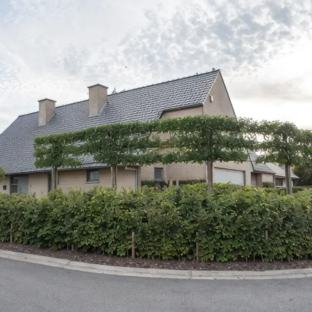 "villa Westhoek", Spacious & Stylish 4 Bedroom Villa for 8 People Near Ypres Отели рядом с достопримечательностью «Парк Беллеверде»