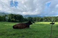 Cozy Mtn Log Cabin, wonderful views, 5 mins from Hayesville town sq, sleeps 8. - Wifi