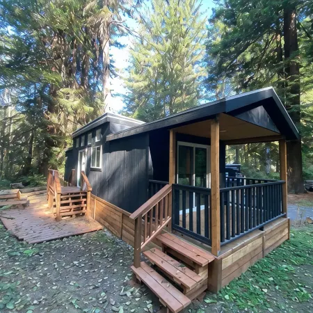 The Black Bear Cabin - 2 bedrooms in the redwoods