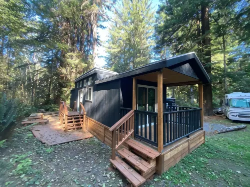 The Black Bear Cabin - 2 bedrooms in the redwoods - 샬레 호텔
