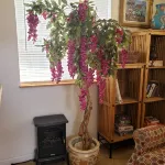 Arizona Guesthouse Midtown w private patio & yard - Bungalows