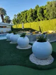 21 PALMS off of El Paseo - Private Pools