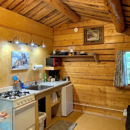 Cabin near Kenai River