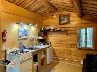 Cabin near Kenai River - シャレー