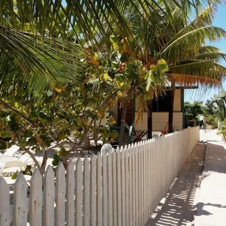 Coconut Cottage(Westbys Coconut Cottage Placencia)