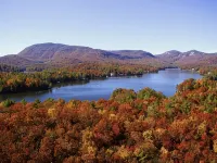 •New• Tiny Home Getaway Hotels in Hogback
