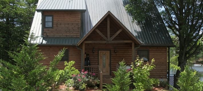 Ms Natalie Cabin on the Lake with Water Trampoline Hotels in Towns County