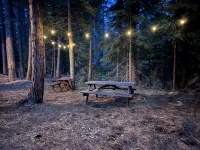 Secluded Cabin with Hot tub on spacious private lot