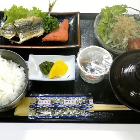 Hamada New Castle Hotel