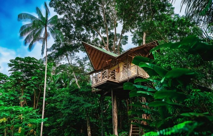 Buru Nature Hotel