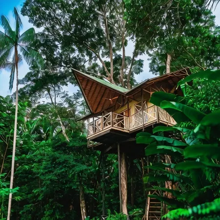 Buru Nature Hotel