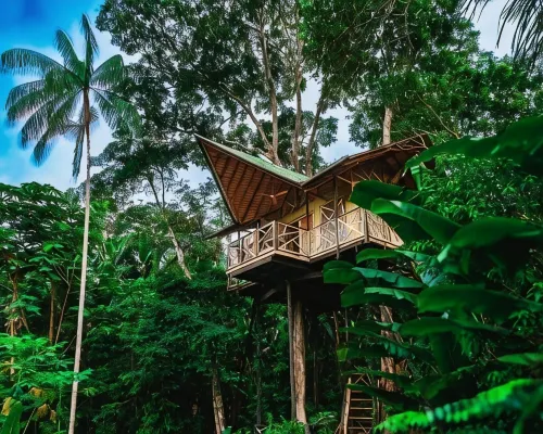 Buru Nature Hotel Hotels in Leticia