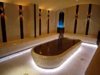 Caprioara Spa&Wellness Resort - spa