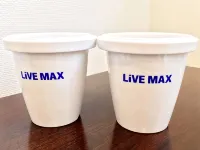 HOTEL LiVEMAX Gifu Hashima Ekimae