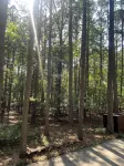 “The Honeymooner” A quaint lil cabin in the woods at Tannenbaum!