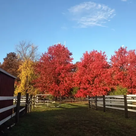 Flint Hill Farm AG