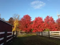 Flint Hill Farm AG - Homestays