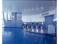 Tateyama Seaside Hotel - Varme kilder