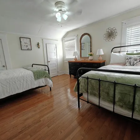 13. King bed, sleeps 22, historic 5-bedroom house in  Albertville with WiFi, AC