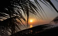Tanaosri Resort Pranburi - Ocean View