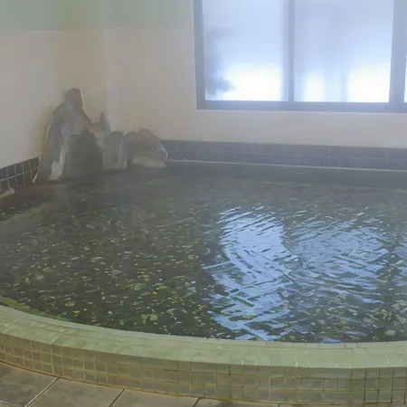 Nagaoka Kamaburo Onsen Ryokan