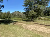 Noccalula Mountain Retreat-The ByrdHouse - Wifi
