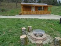 Dragonfly Creek Cabin - Chalets
