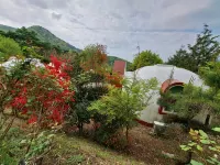 Damyang Firefly Pension - ห้องครัว