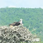 Quiet Cozy Home in God's Country Potter County PA   --- - 2-Star