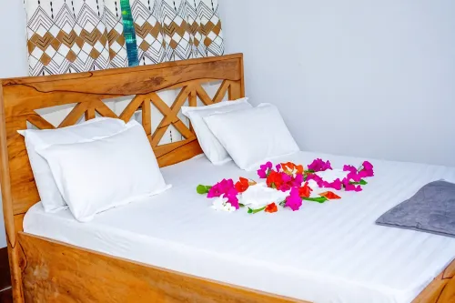 Ecokayak Beach Lodge - 2-Star