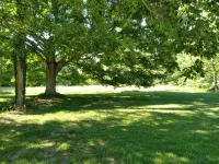House sleeps 6. Just 5 minutes Patoka Lake boat ramp. Anglers Welcome! - 3-Star