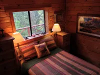 Deer Creek Cabin - a Log Cabin in the Rockies of Colorado! - Familievenlig