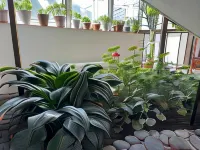 Tunduk Hostel - Hostels