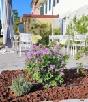Hotel al Gallo Hotel in zona Vini Zaghis | Prosecco e vino sfuso - Cantina