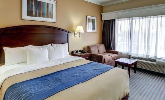 Comfort Inn Corsicana East