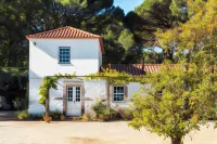 Wine Tourism - Quinta do Ameal