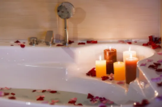 บูทีคโฮเทลส์ ทู เรโวลูจิ