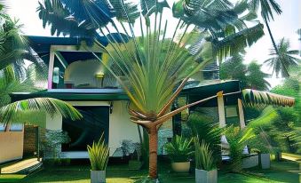 All View Resort