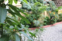 Hotel Happy Home Hotels near Dhakal Store