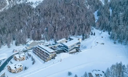 Nira Alpina