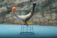 Hamada New Castle Hotel